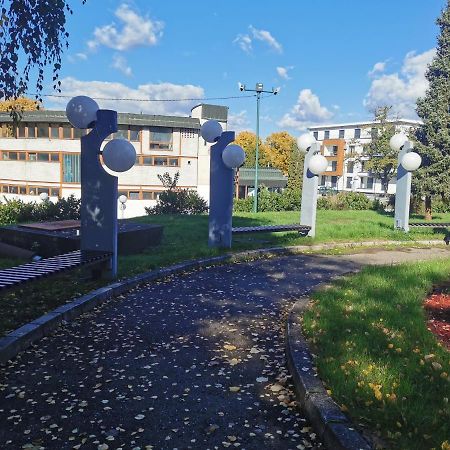 Apartment Ornament Lux Vrnjačka Banja Dış mekan fotoğraf