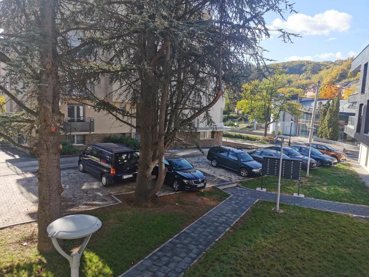 Apartment Ornament Lux Vrnjačka Banja Dış mekan fotoğraf
